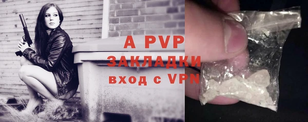 прущие грибы Инта