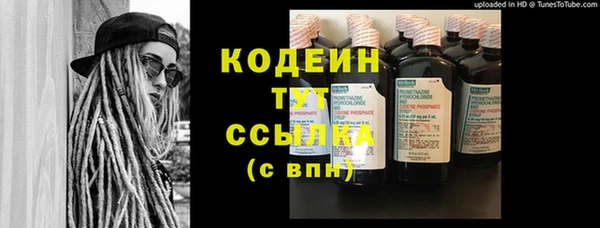 прущие грибы Инта