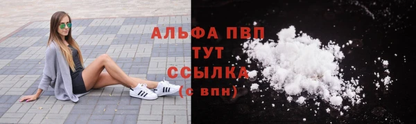 гашик Инсар