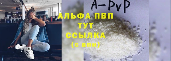 прущие грибы Инта