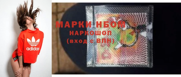 прущие грибы Инта