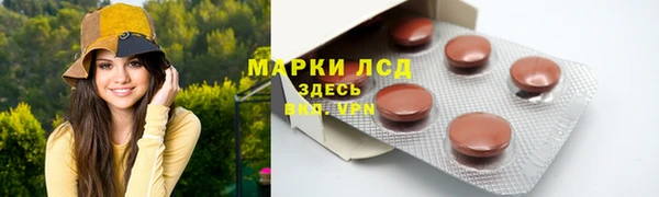 гашик Инсар