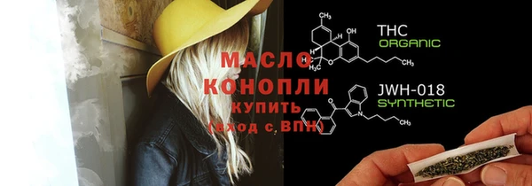 прущие грибы Инта