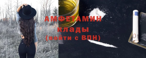 гашик Инсар
