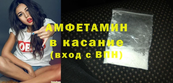 прущие грибы Инта