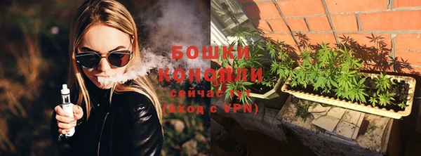 гашик Инсар
