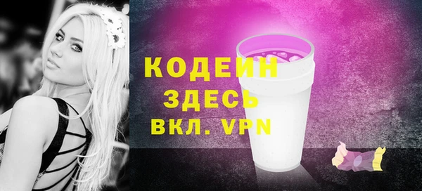 прущие грибы Инта