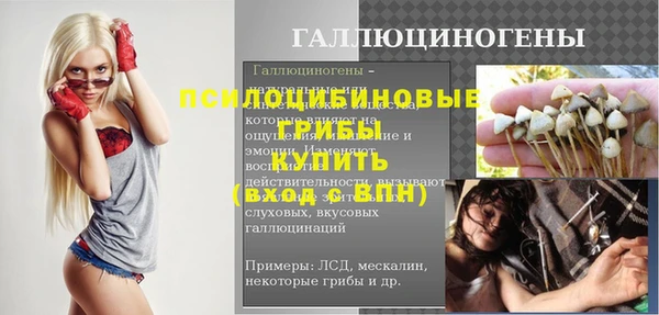 гашик Инсар