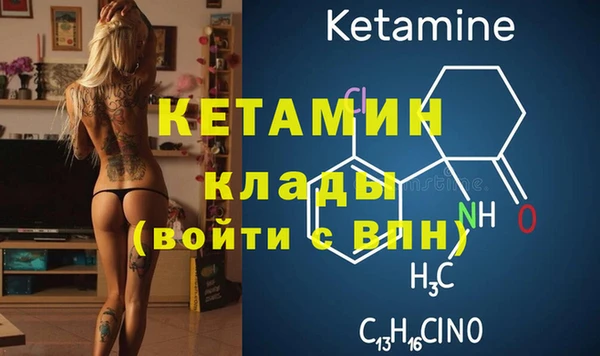 прущие грибы Инта