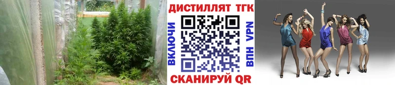 ссылка на мегу ТОР  Соль-Илецк  Дистиллят ТГК THC oil 