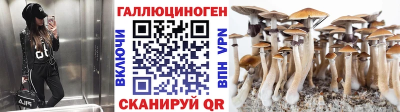 Галлюциногенные грибы мухоморы  даркнет наркотические препараты  Соль-Илецк 