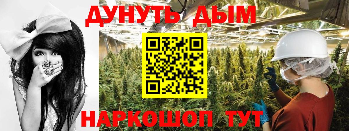 Бошки Шишки SATIVA & INDICA  Конопля LSD WEED  Соль-Илецк  Каннабис SATIVA & INDICA  Вход с VPN 
